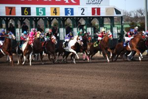 Vip Horse Racing Tips India: Pro Tips to Win in India (2027)